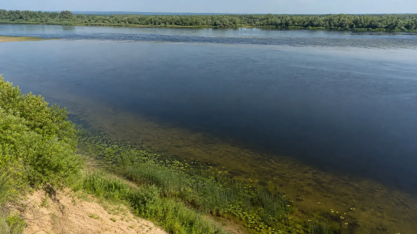 Плёс летом с высокого берега: широкая спокойная гладь большой реки, в середине русла тёмная глубокая зона — омут, у ближнего берега сквозь прозрачную воду видно песчано-илистое дно с кромкой камыша и кувшинок, а в дальней части поперёк всего русла тянется полоса ряби — начало следующего переката